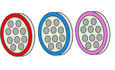 西尔曼谷氨酰胺酶膜