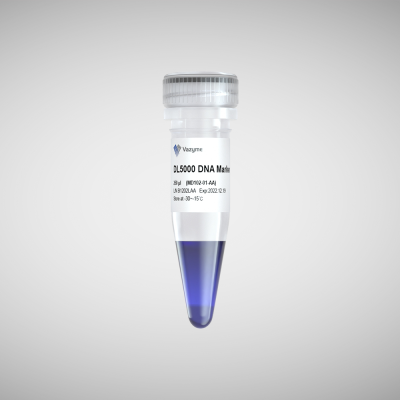 诺唯赞DL5000 DNA Marker MD102-02 100rxns