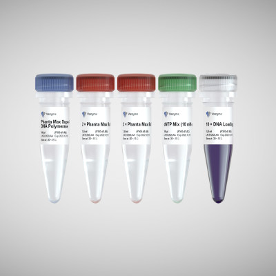 诺唯赞Phanta Max Super-Fidelity DNA Polymerase P505-d2 500u