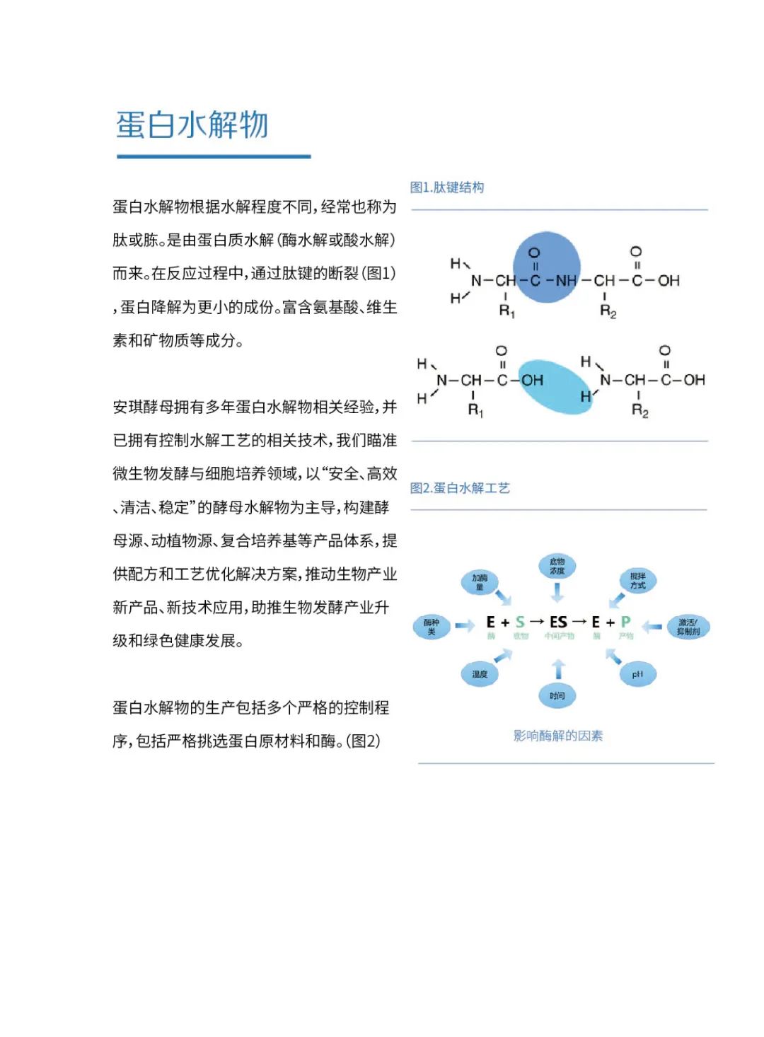 A89DBBE9415E4B839B49FB7ACD57DB14.jpeg